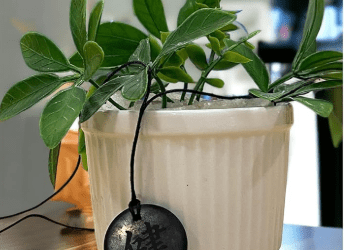 Shungite Stone Pendant 